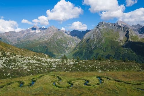 Biotope Wieser Werfer, South Tyrol