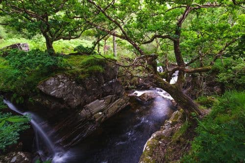 Paddy's Bridge, Scotland