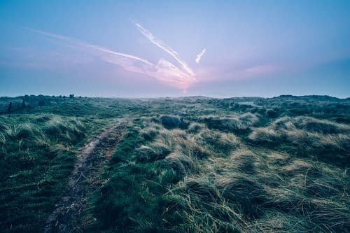 The road to Bull Island, Dublin, Ireland