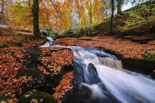 Fall at Cloghleagh Bridge, Wicklow, Ireland