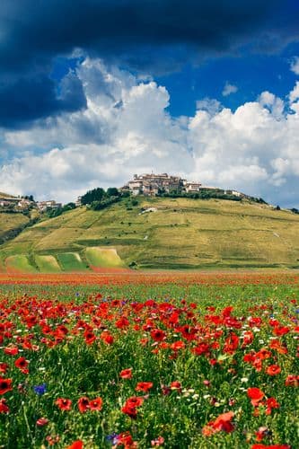 Castelluccio di Norcia, Italy